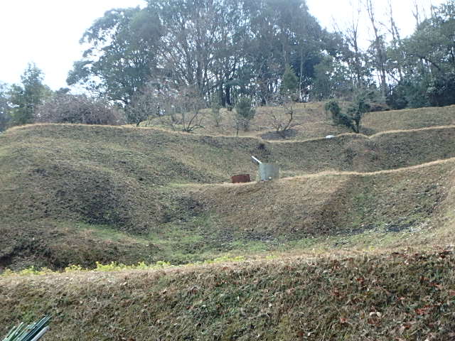 f0334143_753284.jpg