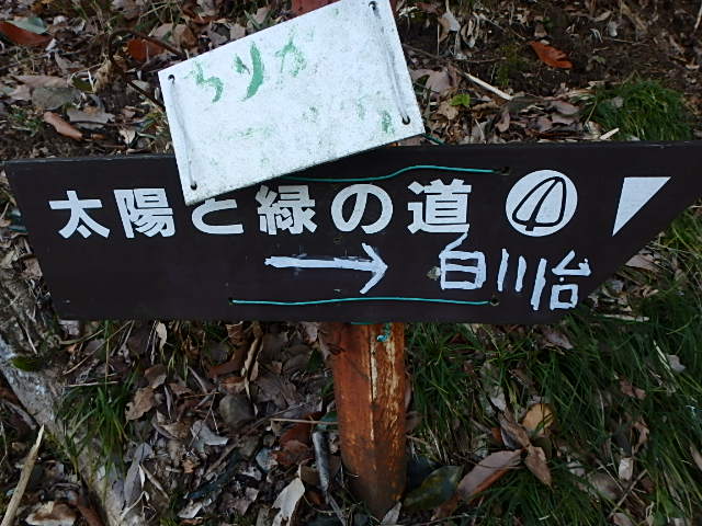f0334143_82012.jpg