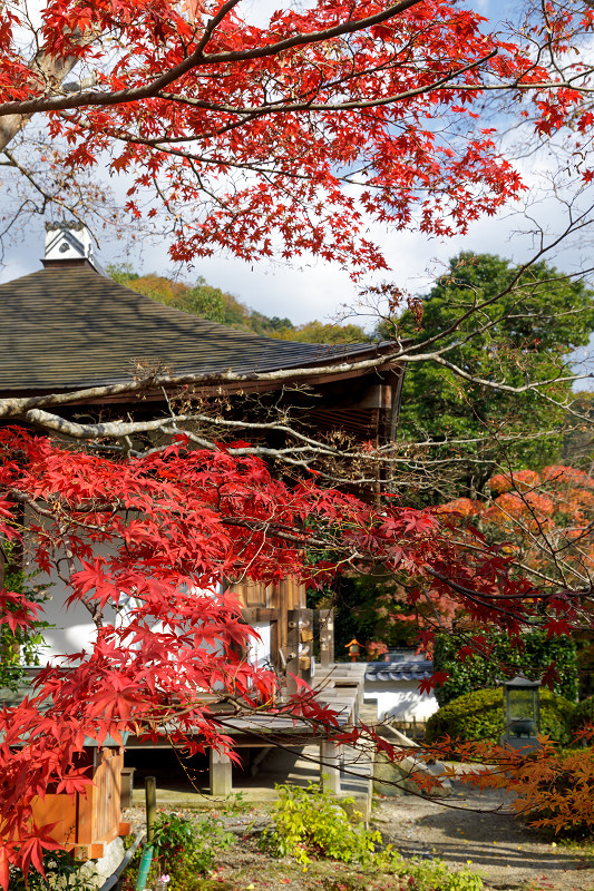 京都の紅葉2017 海住山寺の彩り（木津川市）_f0155048_23385390.jpg