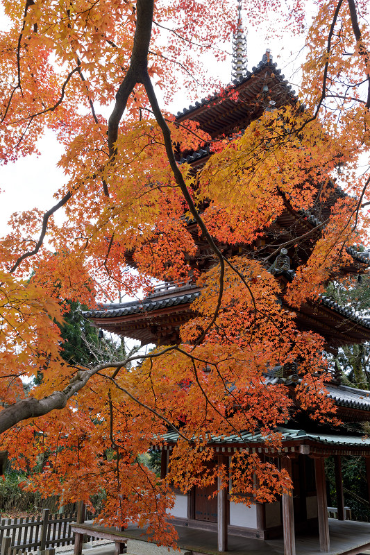 京都の紅葉2017 海住山寺の彩り（木津川市）_f0155048_23431874.jpg