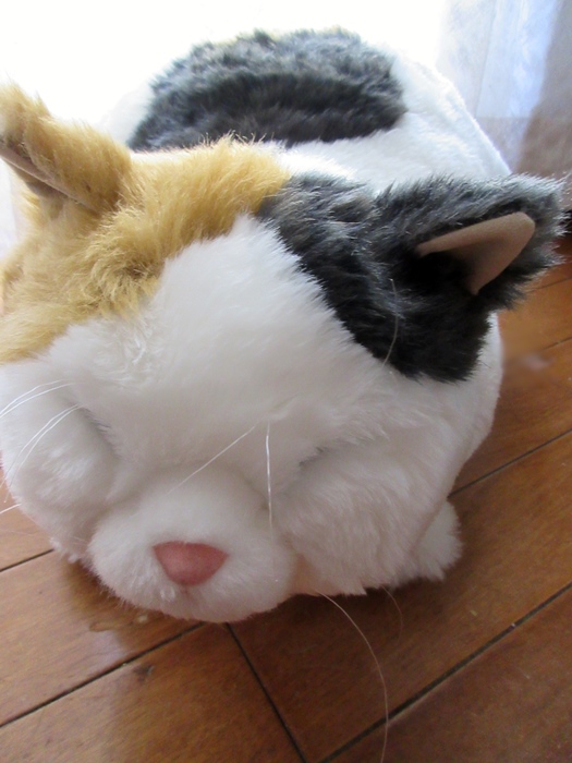 【鎌倉】鎌倉ねこサロン【御成通り】_b0009849_15173237.jpg