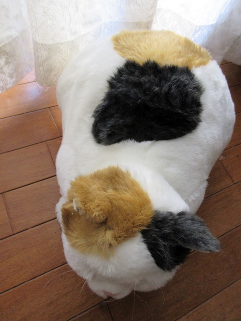 【鎌倉】鎌倉ねこサロン【御成通り】_b0009849_15204131.jpg