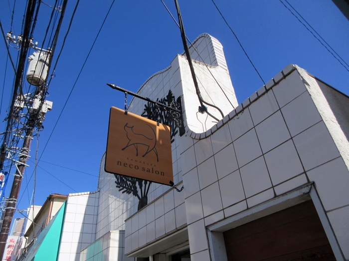 【鎌倉】鎌倉ねこサロン【御成通り】_b0009849_15273885.jpg