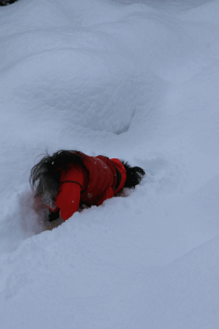 c0145250_10024105.gif