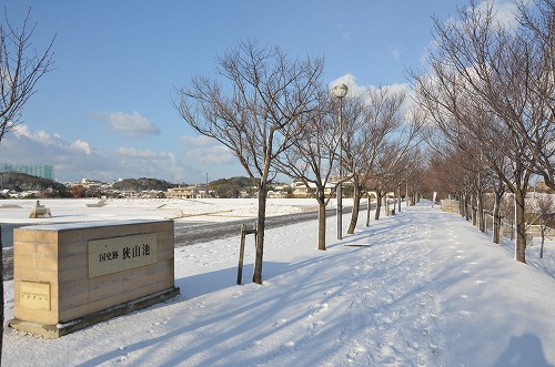 狭山池の雪景色_d0247262_0435366.jpg