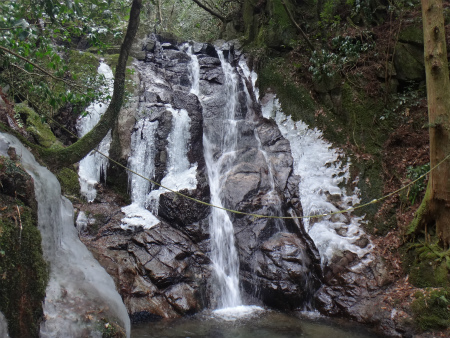 雷山中腹林道経由で雷山（糸島市）_d0182075_05302995.jpg