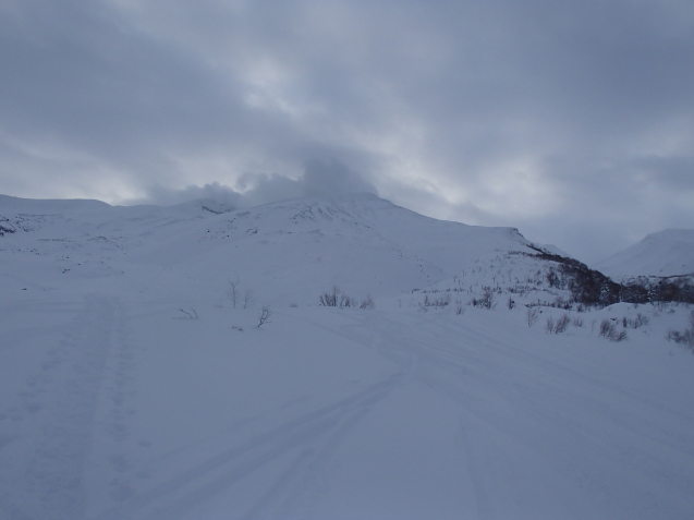 f0130376_20243313.jpg