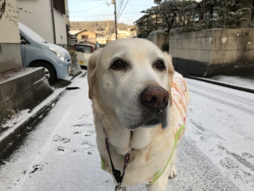 f0315081_22031889.jpeg