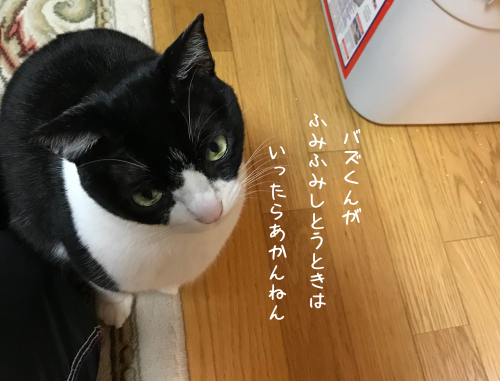 a0216583_10453010.png