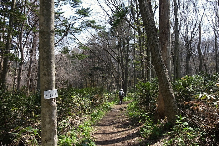 馬追山（瀞台）　馬追名水～馬追コミュニティーセンターコース _a0270291_20245192.jpg