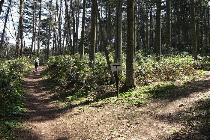 馬追山（瀞台）　馬追名水～馬追コミュニティーセンターコース _a0270291_20262253.jpg