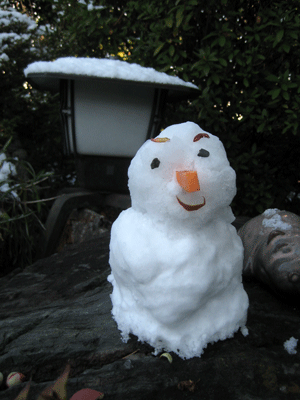 a0030594_23510986.gif