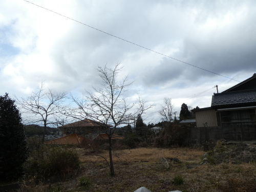 c0108198_16152724.jpg