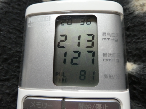 c0108198_16153926.jpg