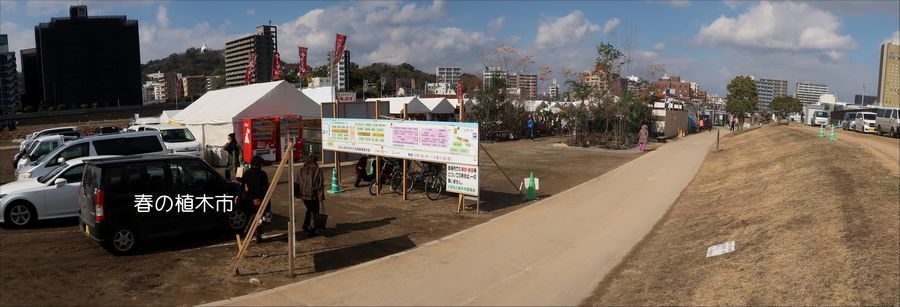 f0059498_18381130.jpg