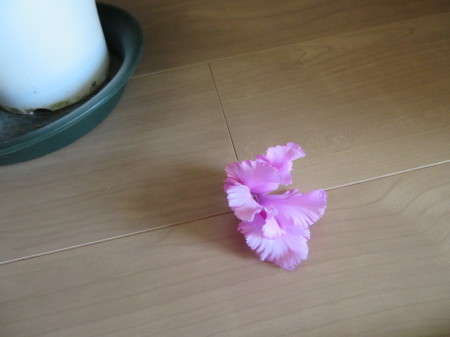 b0291805_12073928.jpg
