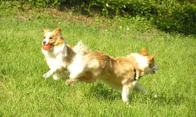 c0202113_17165145.jpg