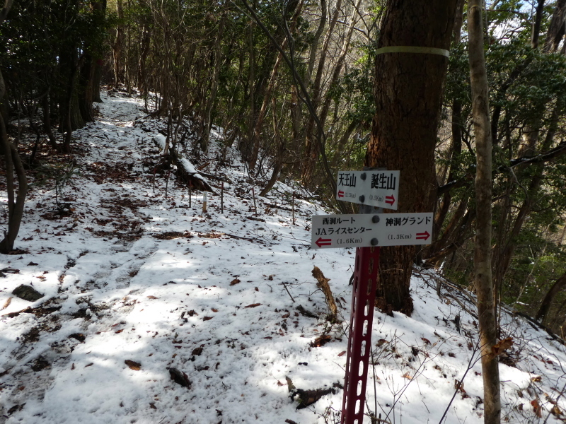 今日のお気に入り写真　美濃市人気の山 誕生山 (601.5M) に登る_d0170615_19031693.jpg