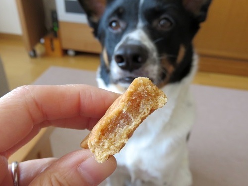 バレンたい焼きンデー_c0084117_19204005.jpg