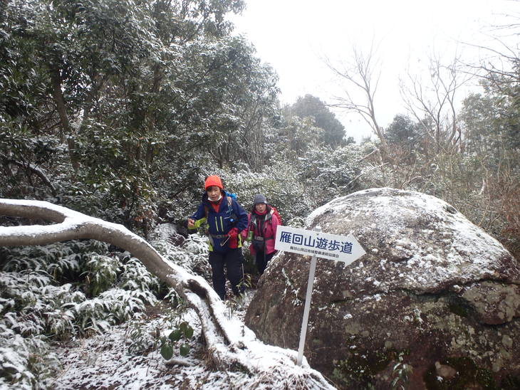 雁回山周回(奥の院コース～東阿高コース～城南コース～富合コース）_f0193521_8114836.jpg