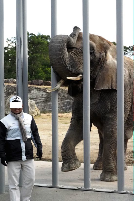 大型草食動物に餌やり_f0224624_14332095.jpg