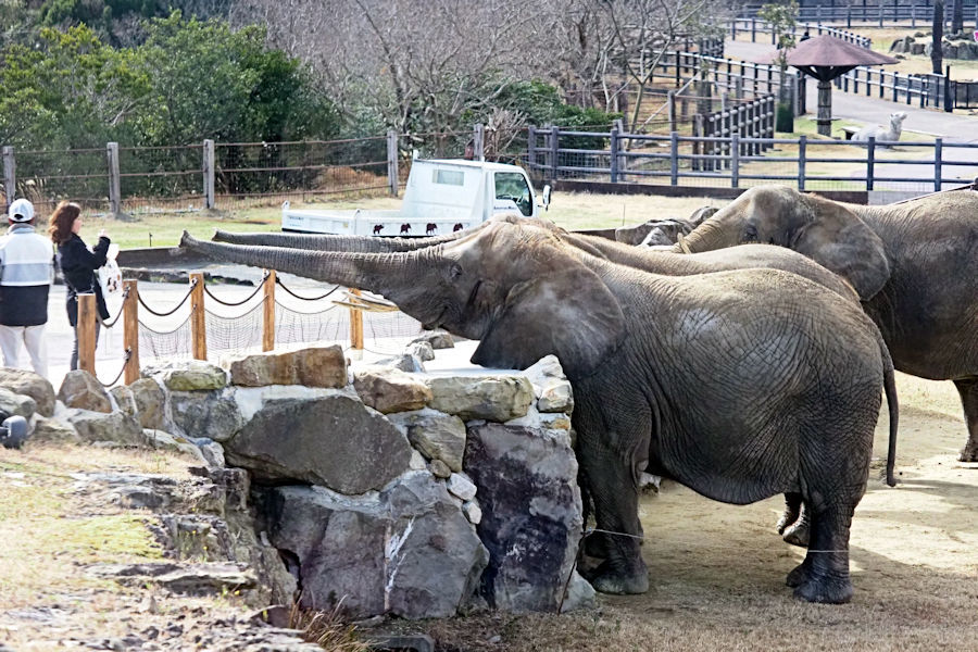 大型草食動物に餌やり_f0224624_14335680.jpg