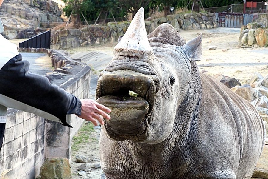 大型草食動物に餌やり_f0224624_14362116.jpg