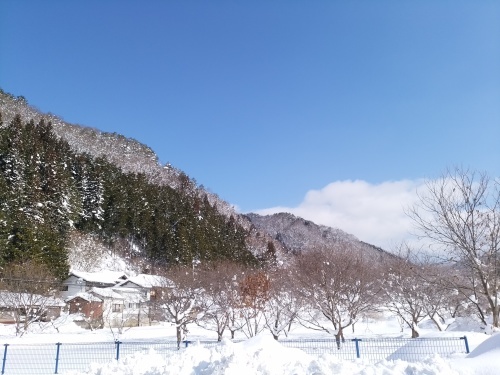 c0300035_10464347.jpg