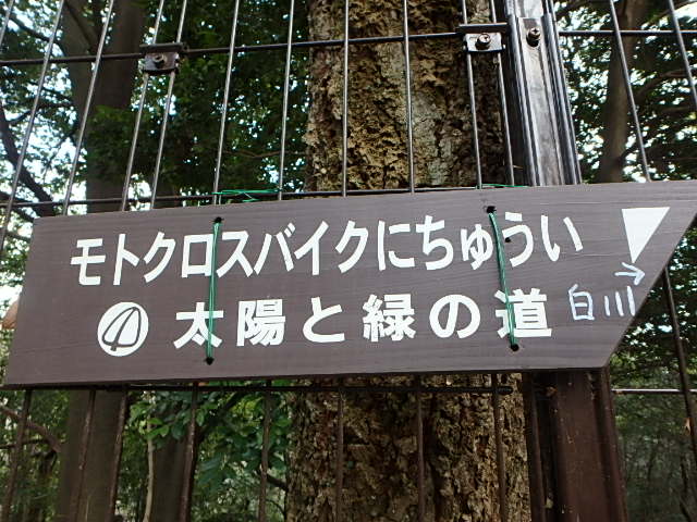 f0334143_20561817.jpg