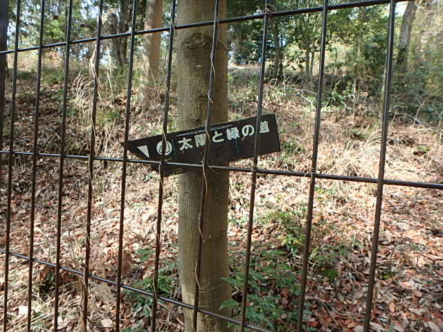 f0334143_20583551.jpg