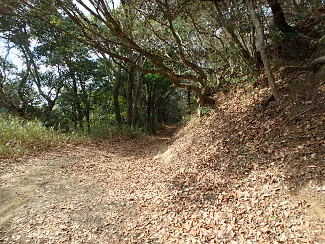 f0334143_20592049.jpg