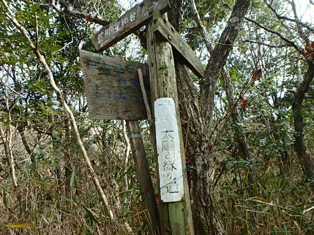 f0334143_20593813.jpg