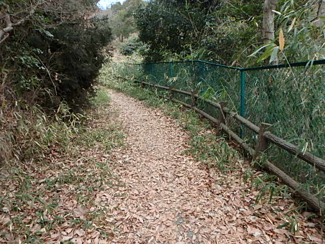 f0334143_21111836.jpg