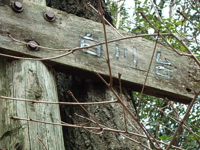 f0334143_211691.jpg