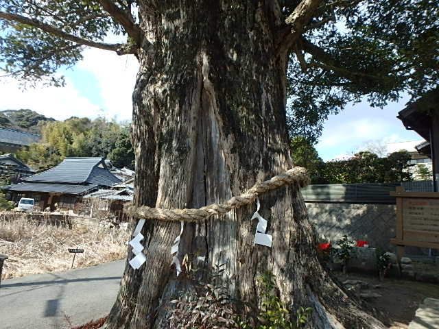 f0334143_2171156.jpg