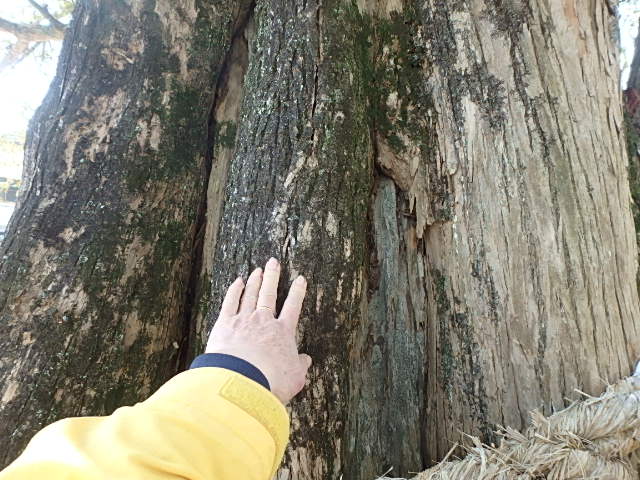 f0334143_2172783.jpg
