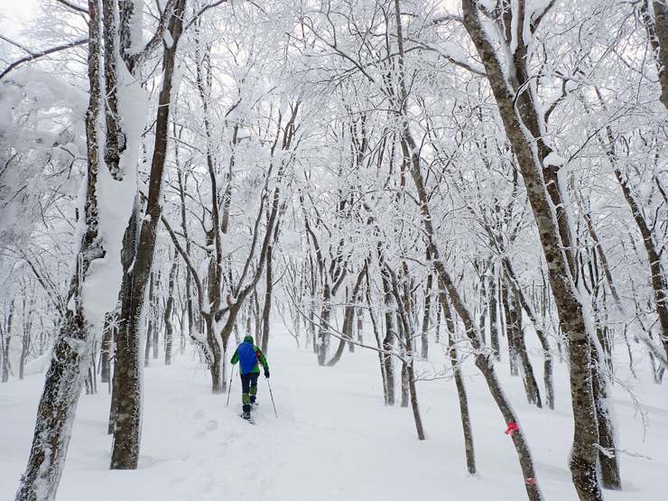 雪の大万木山リベンジ③_f0214649_05554477.jpg