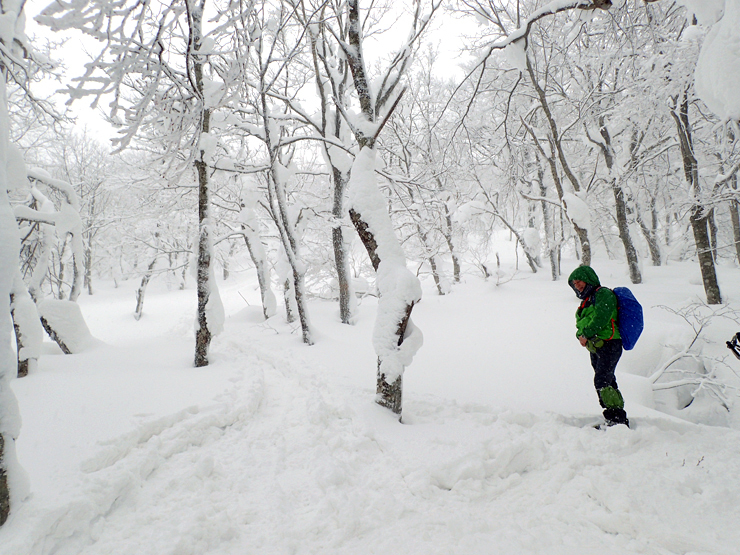 雪の大万木山リベンジ③_f0214649_05555313.jpg