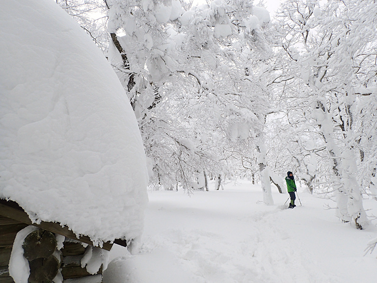 雪の大万木山リベンジ③_f0214649_06125169.jpg