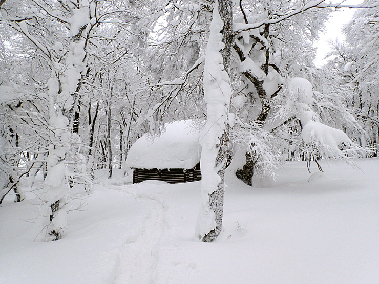 雪の大万木山リベンジ③_f0214649_06135623.jpg