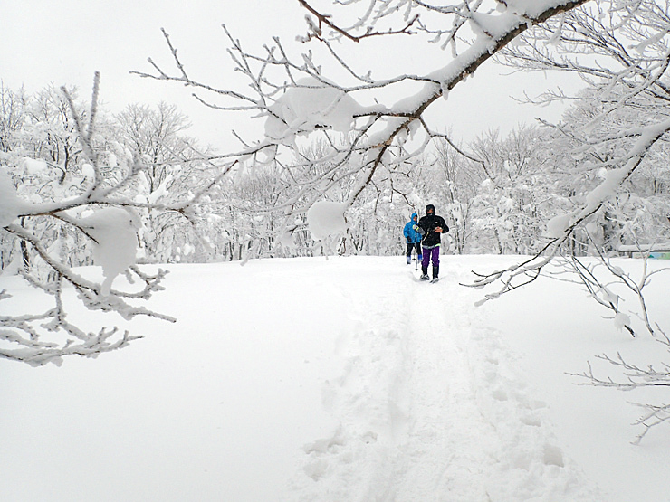 雪の大万木山リベンジ④・最終回_f0214649_13294136.jpg