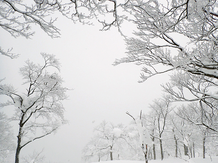 雪の大万木山リベンジ④・最終回_f0214649_13302631.jpg