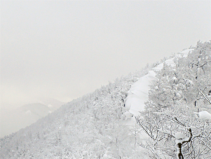 雪の大万木山リベンジ④・最終回_f0214649_13304970.jpg