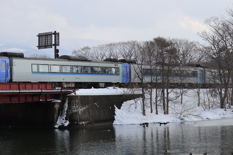 2月11日　雪かきした後　大沼へ　４_b0250154_00520219.jpg