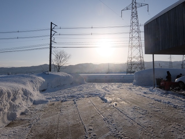 c0247768_85102.jpg