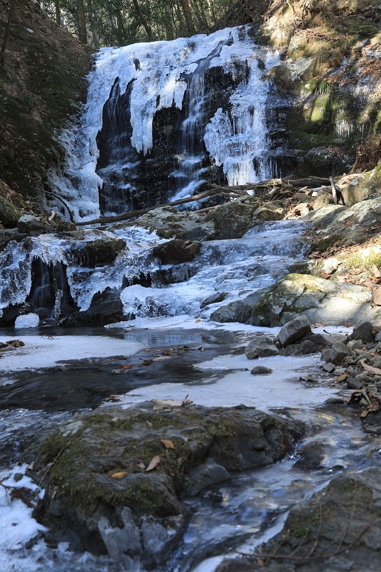 e0304170_17260916.jpg