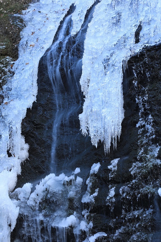 e0304170_17275050.jpg