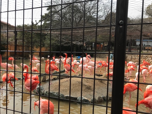 c0197972_19115924.jpeg