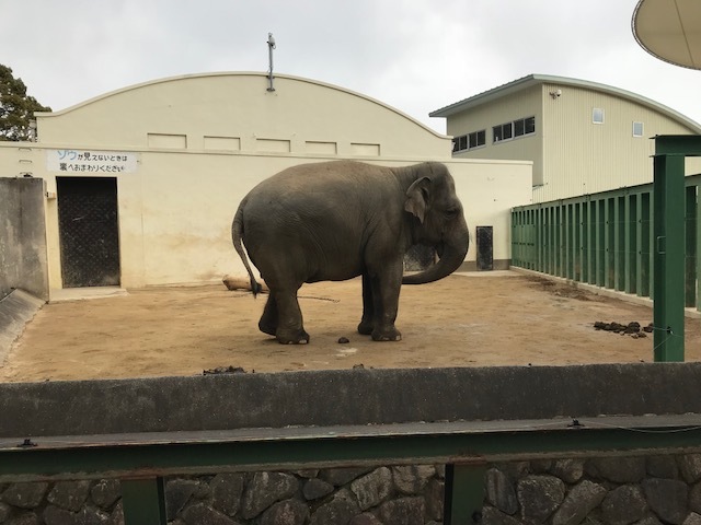 c0197972_19181129.jpeg