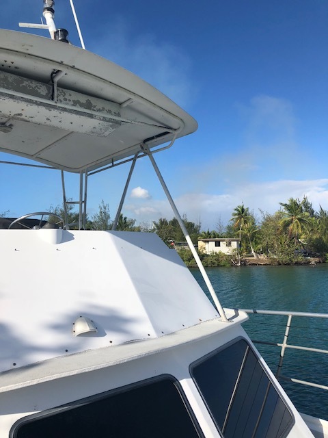 f0307274_20031247.jpeg